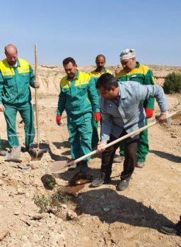 آیین درختکاری در شرکت فولاد خوزستان برگزار شد